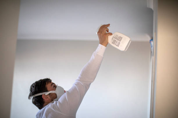 Best Toxic Mold Removal  in Holliday, TX